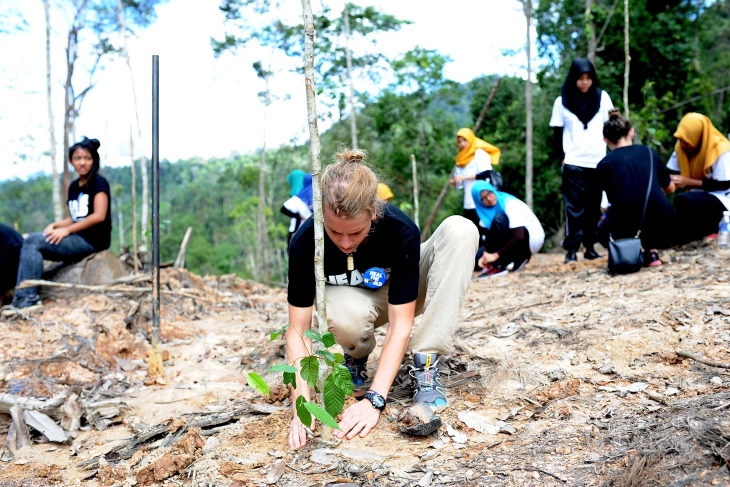 Volunteering for the SASET reforestation expedition in Taman Negara Pahang_006