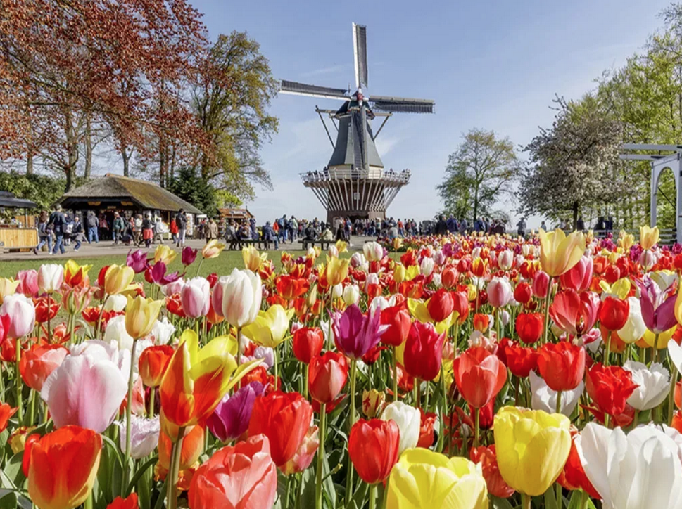 Photo Credit: outlooktravelmag.com/travel-guides/europe/netherlands/amsterdam/